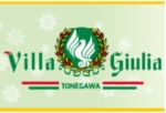 ި׼ުرTONEGAWA